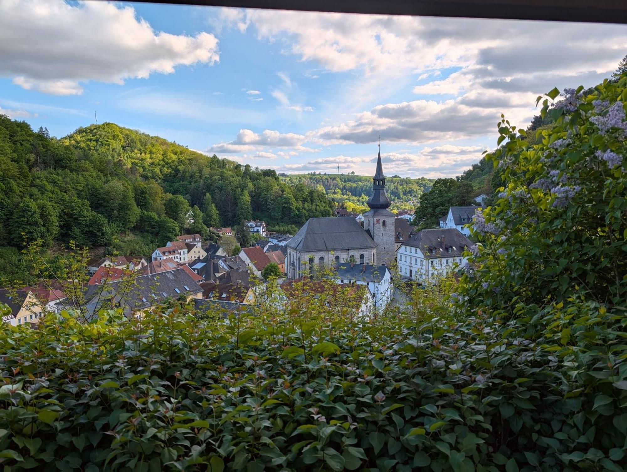 Hotel Pension Bluechersruh Bad Berneck im Fichtelgebirge Buitenkant foto